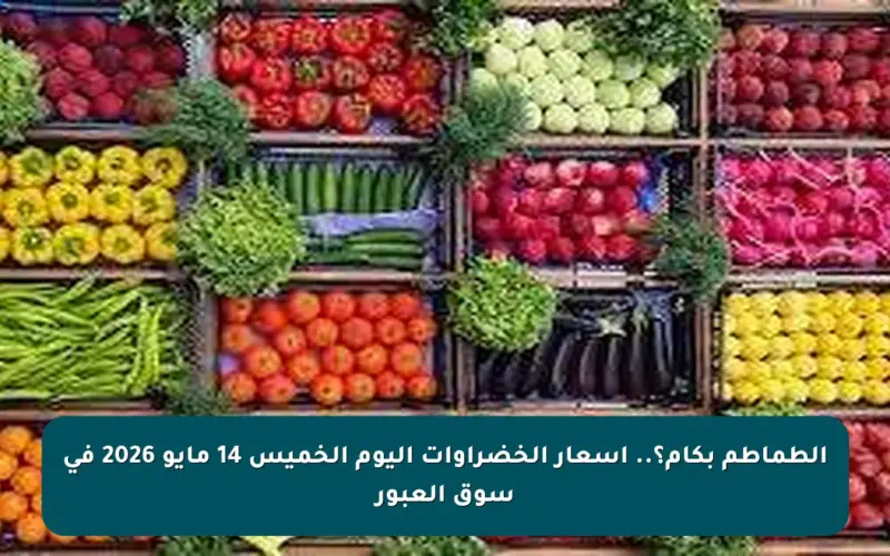 الطماطم بكام؟.. أسعار الخضراوات اليوم الخميس 14 مايو 2026 في سوق العبور